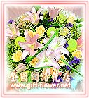 ﺵ--Rqᩱq,24HqRٺᩱH`q