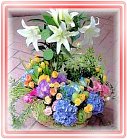 ݺo֪ԲAϤ-ᩱ,q-R,e flower.host-flower.com