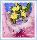 ݸԲӺoϤ-ᩱ,q-R,e flower.host-flower.com ˸`§,dD