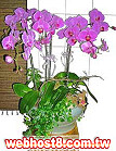 GOAjϤ,ڭn q-R,ᩱq0952792139,http://www.web-flower.tw/flower/