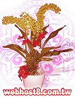 GOAjϤ,ڭn q-R,ᩱq0952792139,http://www.web-flower.tw/flower/