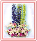 GOAjϤ,ڭn q-R,ᩱq0952792139